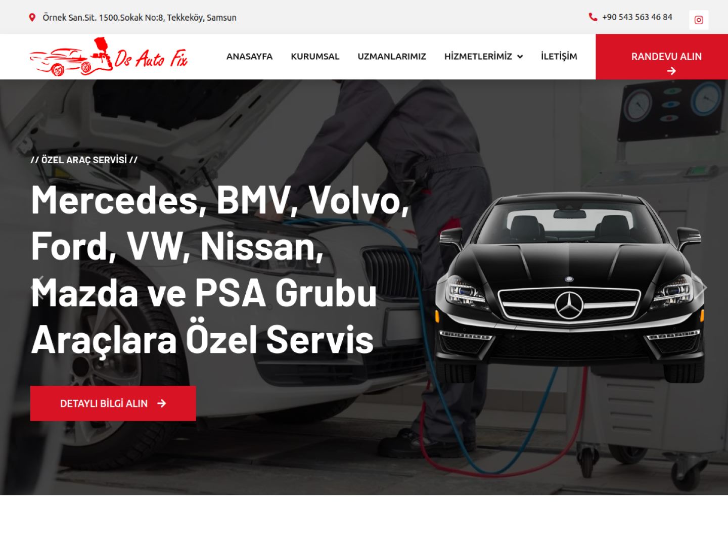 DS Auto Fix görseli